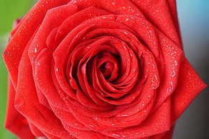 适合伴郎的祝福词 伴郎祝福词怎么说