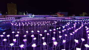 济南有哪些婚庆公司 济南一共有多少家婚庆公司