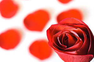 结婚纪念日怎么才浪漫 结婚纪念日应该怎样制造浪漫？