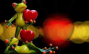 三金一般花多少钱2019年 三金大概要多少钱？