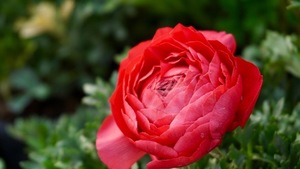 婚礼策划师属于什么专业 婚礼策划属于哪个专业