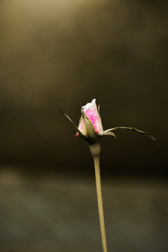 写给领导的结婚请帖 给领导的结婚请柬怎么写？