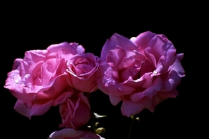 微胖怎么选礼服