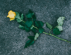 结婚怎么算日子? 怎么算结婚日子？