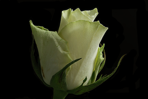 结婚过程中需要什么东西 结婚都需要准备什么东西？