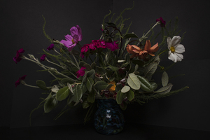 8度穿什么衣服 8度至24度适合穿什么衣服