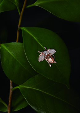 婚礼纪怎么看礼物谁送的 怎么看婚礼纪请帖中的礼物是谁送的呢？