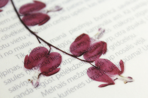 伴郎穿什么颜色袜子 新郎结婚当天穿什么颜色袜子好