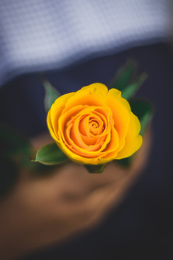 婚纱照外景衣服怎么选 婚纱照外景怎么选衣服谁知道