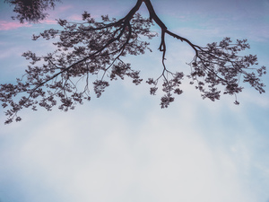 婚礼管家要做什么 一个真正的婚礼管家的职责