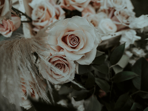 初婚日期怎么查到 怎样在网上查询自己的结婚时间