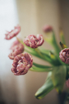 结婚纪念日的简短句子 结婚纪念日语录经典短句