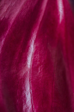 现在结婚婚车都用什么车 现在结婚一般都用什么婚车