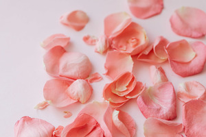 喜酒邀请朋友圈怎么发 怎样写朋友圈请吃喜酒