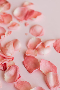 朋友结婚纪念日祝福语简短 别人结婚纪念日祝福语简短