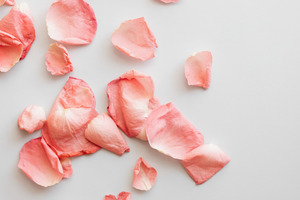 新娘父母胸花什么时候戴 新郎父母胸花什么时候带