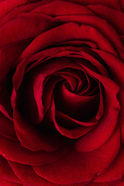 做地毯用什么原料 地毯是用什么材质制作的？