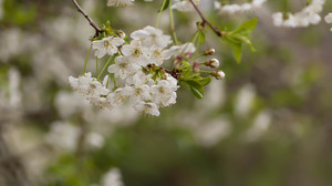 结婚照能化妆吗 领结婚证拍照可以化妆吗？