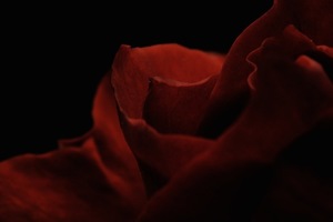 四句要喜糖话语 说四句要喜糖怎么要啊_问一问