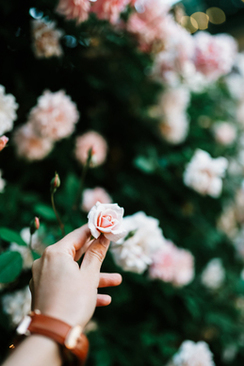 婚礼舞台布置要什么证件 婚礼场景布置需要哪些材料