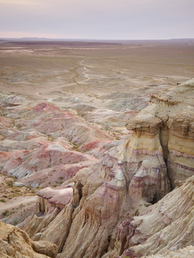 敬酒的客套话领导 敬酒的客套话