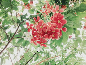 婚检正规照什么颜色背景 一般办证件的照片底色可以用什么颜色