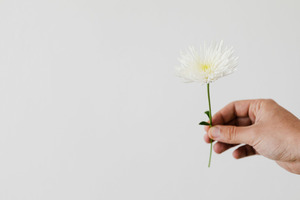 婚礼摄影师分成 婚纱影楼摄影师提成怎么算