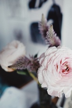 用英语表达对朋友的结婚祝福