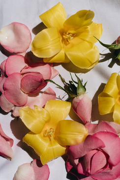 婚礼邀请短信简单版 婚宴邀请短信怎么写