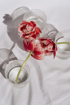 选婚庆公司注意事项 找婚庆公司应该注意那些细节?