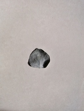 拍结婚证带什么 领结婚证需要准备什么东西？