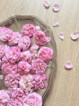 自拍拍照动作怎么摆