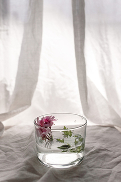 如何鉴别假酒 如何辨别假酒啊？