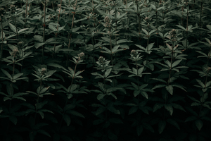 北京一般的宾馆多少钱