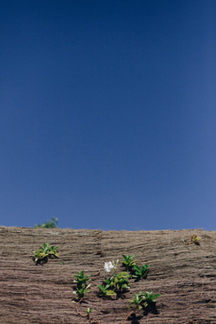 女方妈妈婚礼穿什么颜色 结婚当天女方妈妈应该穿什么颜色的衣服