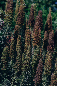 打发新郎的红包怎样写 结婚贺礼红包的写法