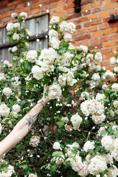 一到十的生日红包怎么发 一到十的红包情话怎么写?