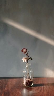 拍海景用什么镜头 拍摄风景用什么镜头