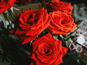 江阴结婚用什么香烟 江阴乔迁之喜一般用什么香烟