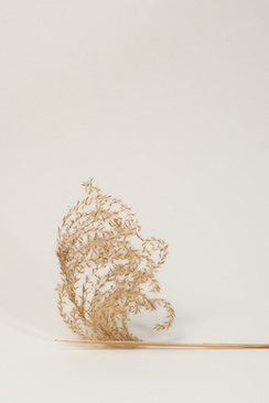 参加婚礼女生应该穿什么 参加朋友婚礼应该穿什么服装啊