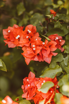 最有水平的婚礼致辞 求!高水准的婚礼贺词