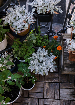 背景为什么用绿布 为什么拍电影时要用绿布?