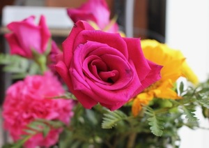 领结婚证当天可以离婚吗 领取结婚证的当天可以在办离婚吗