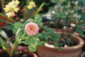 化妆师与婚庆没签合同 婚庆公司不给签合同怎么办？