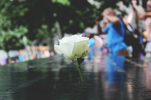 大家婚纱照拍多少钱的 一般拍一套婚纱照要多少钱