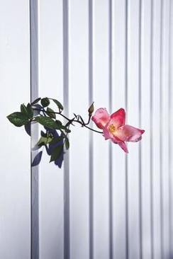 红色礼服披肩搭配图片 红色礼服怎么搭配披肩