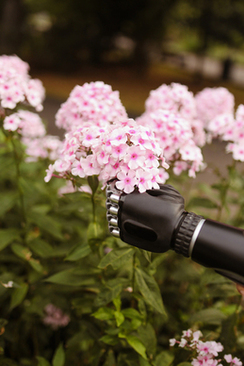 2020年结婚证照片尺寸 2019年放结婚证上的照片尺寸是多大