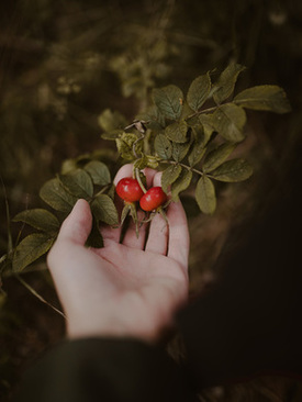 订婚宴一般在哪里办 订婚一般什么流程