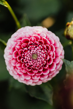 结婚后喜字贴多久 结婚家里贴的喜字什么时候可以撕掉?