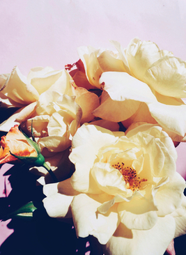 结婚当天新娘能不能穿内裤